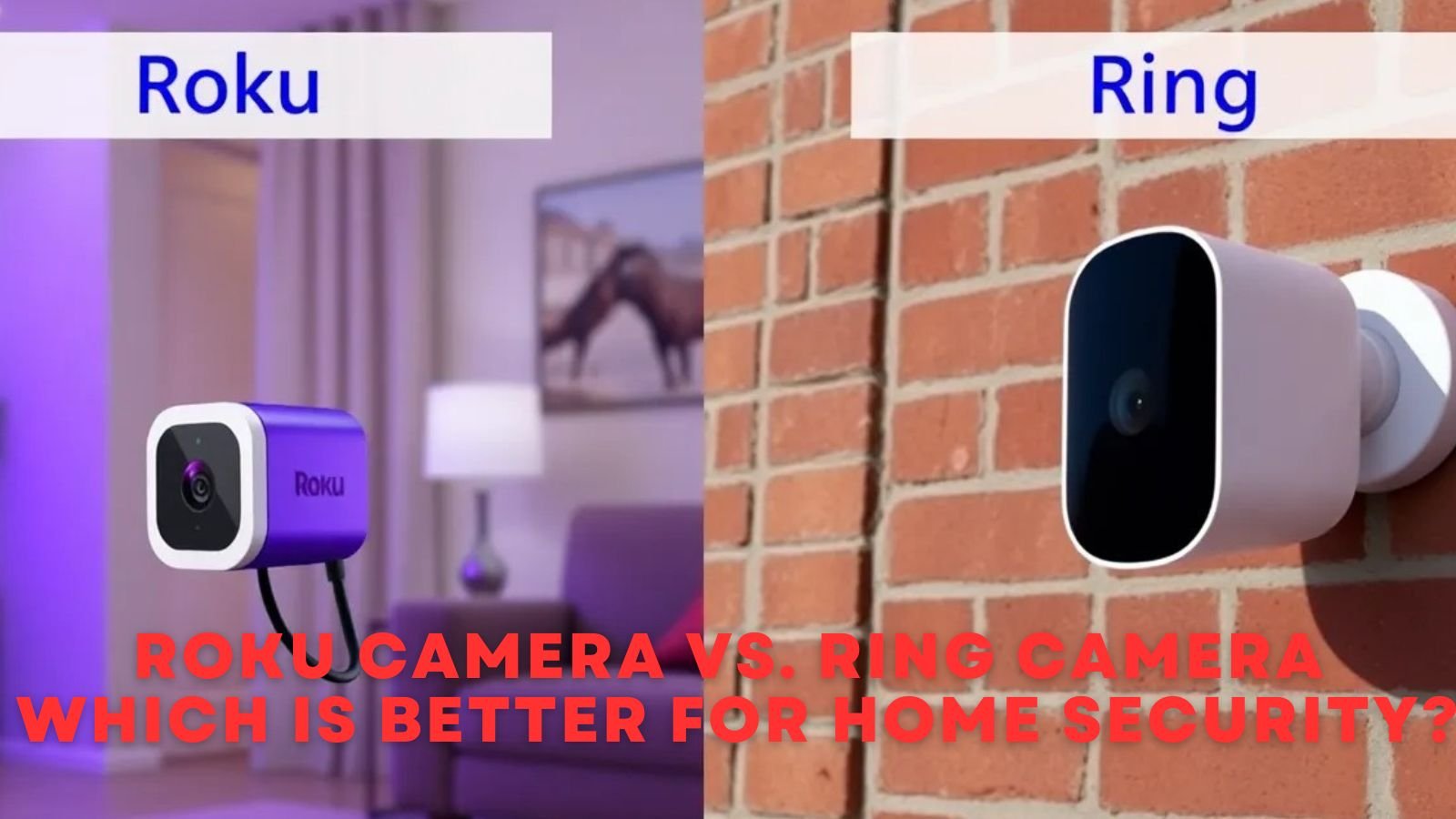 Roku Camera vs. Ring Camera
